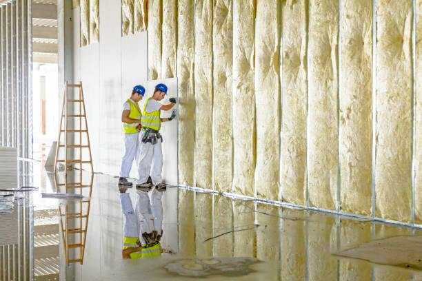 Best Insulation Installation Services in Dover Beaches North, NJ